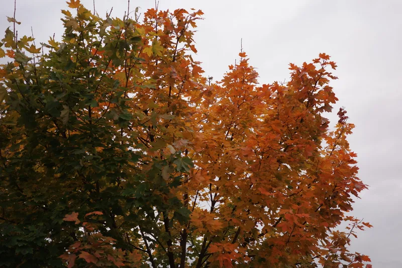October