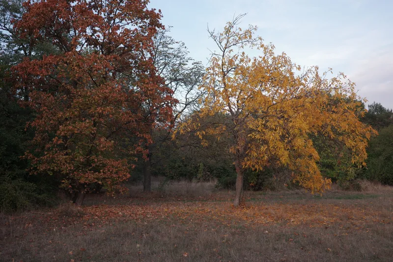 October