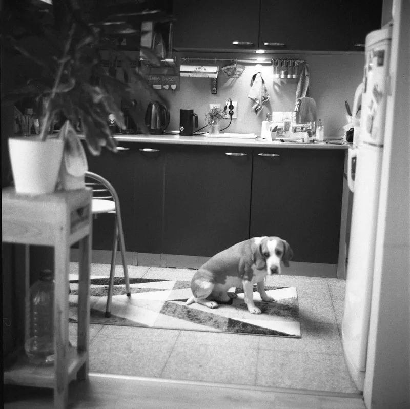 October on film