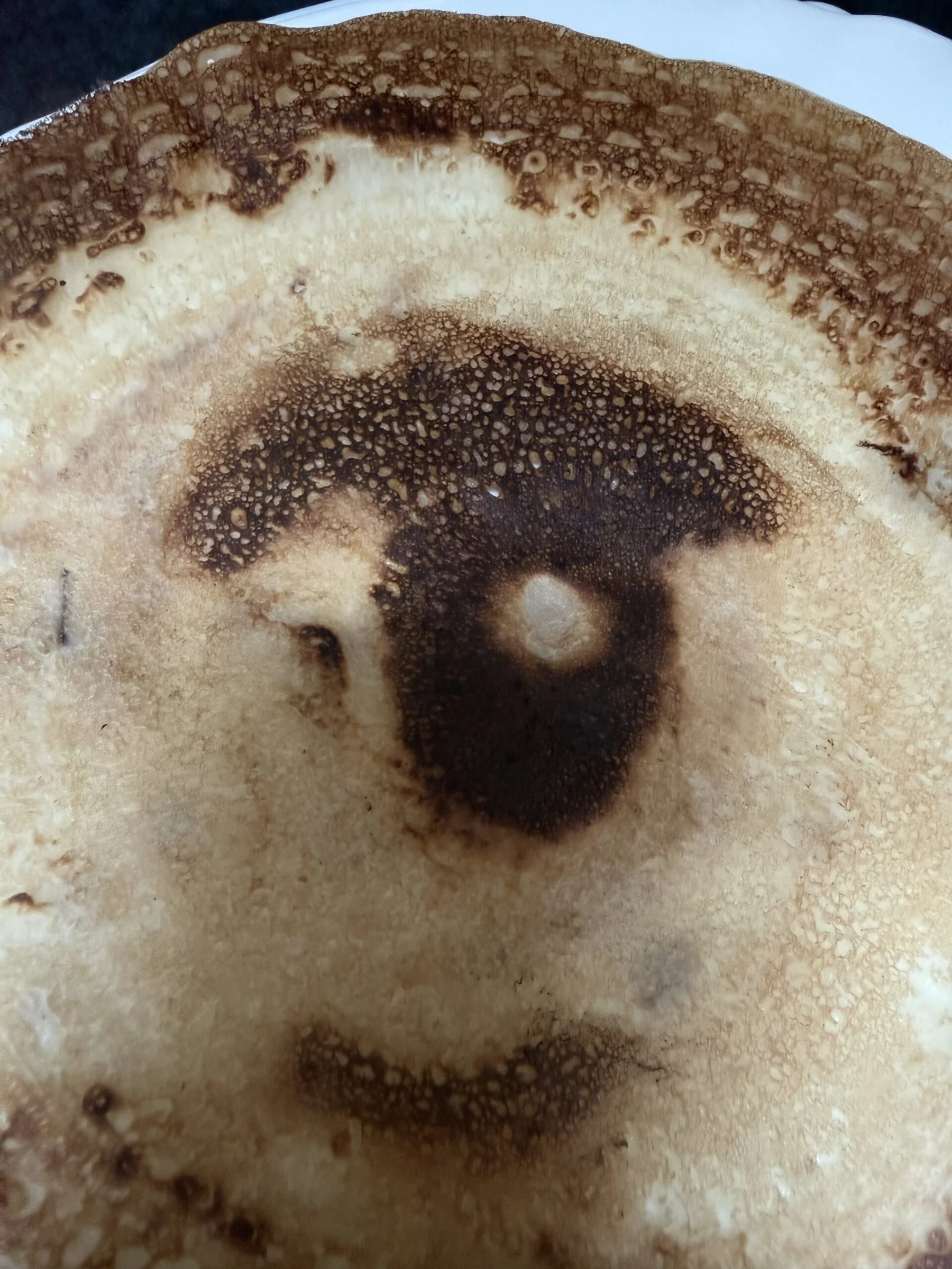 November Camera Roll