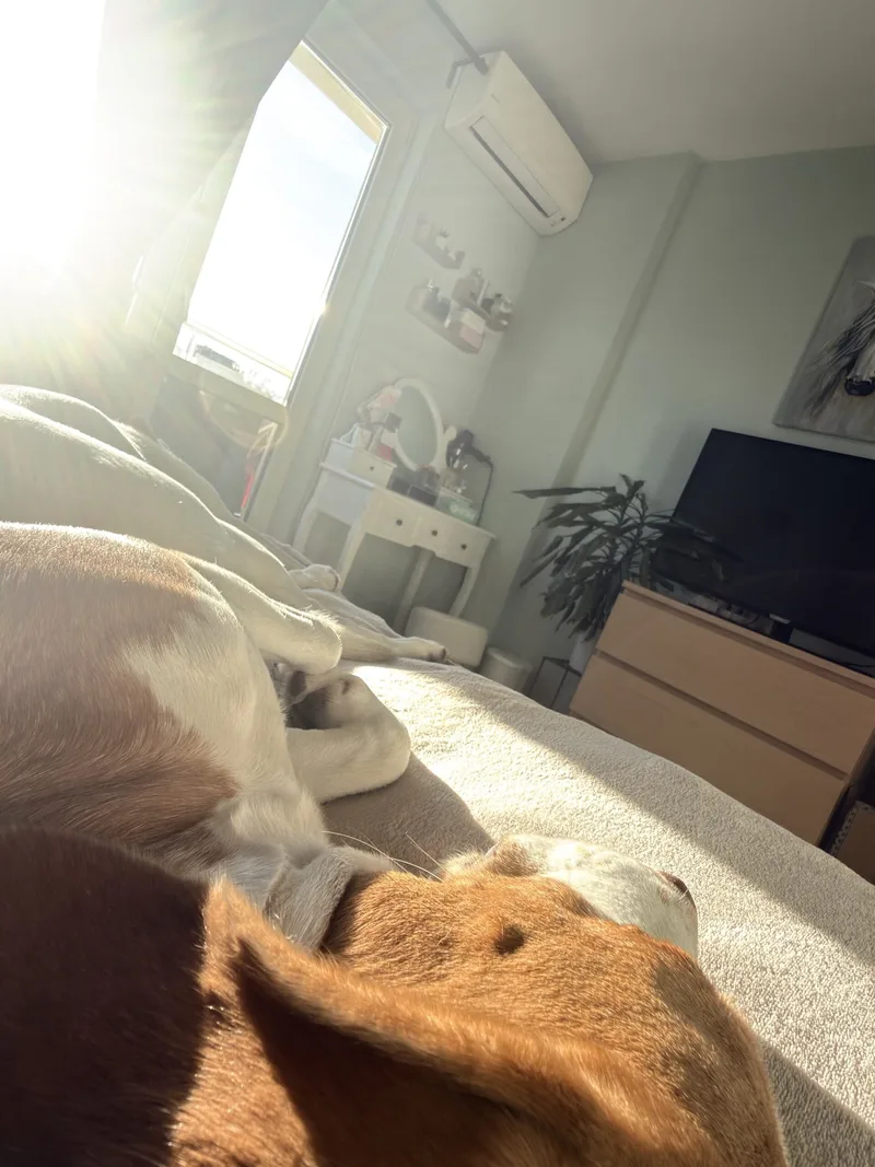November Camera Roll