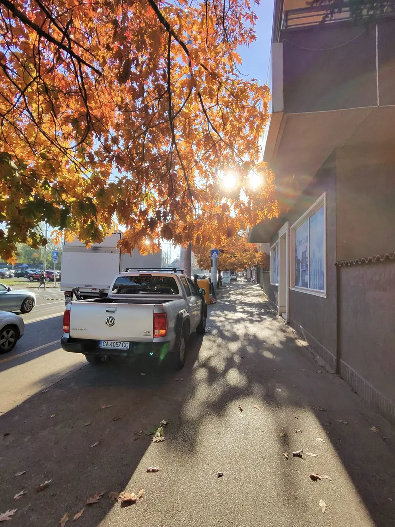 November Camera Roll