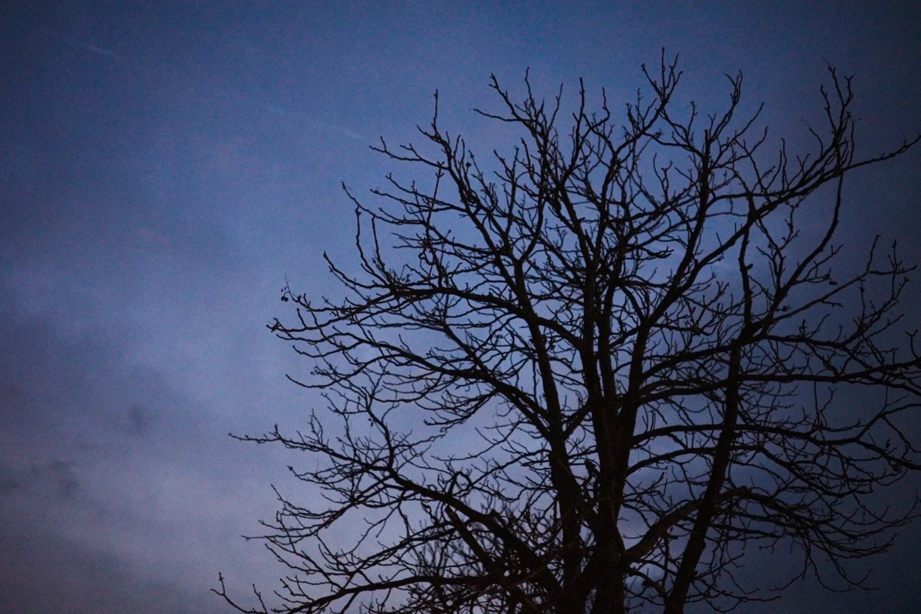 December blues