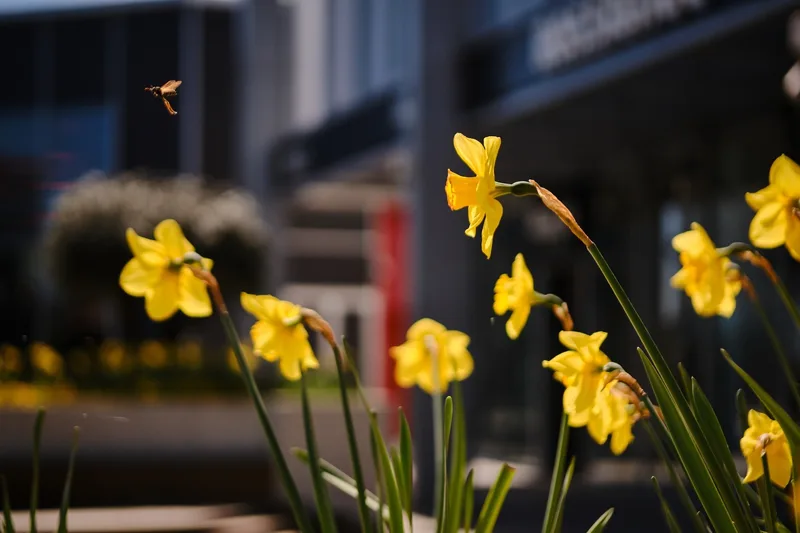 April }> Milan
