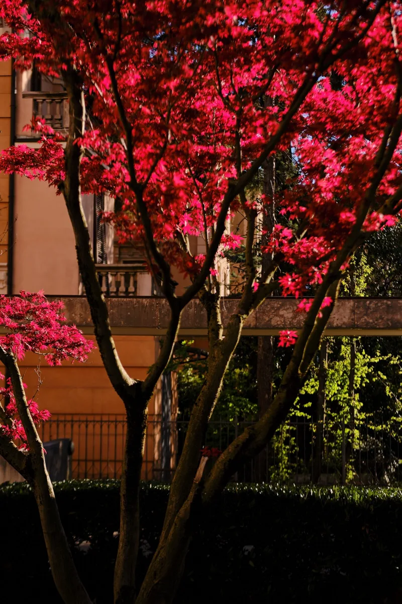 April }> Milan